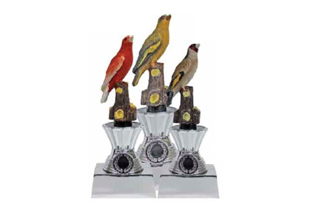 Trofeos en Competencias de Aves
