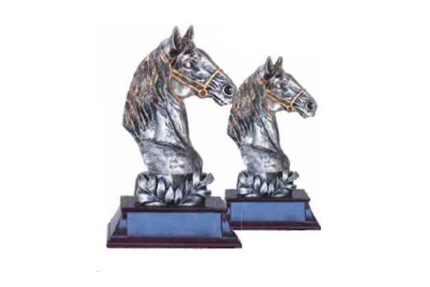 trofeo caballo